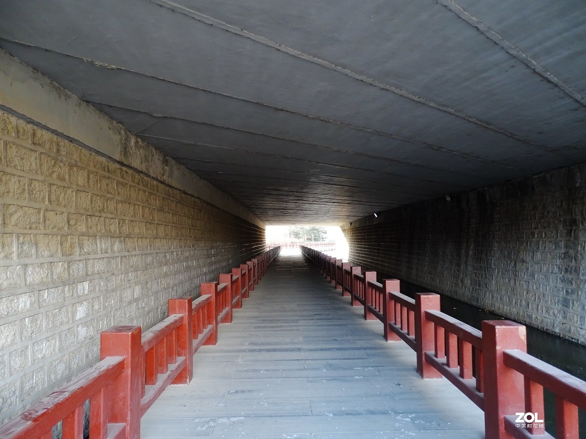 植物园——完结篇（2018.12.31——4）