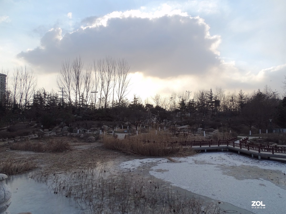 植物园——完结篇（2018.12.31——4）