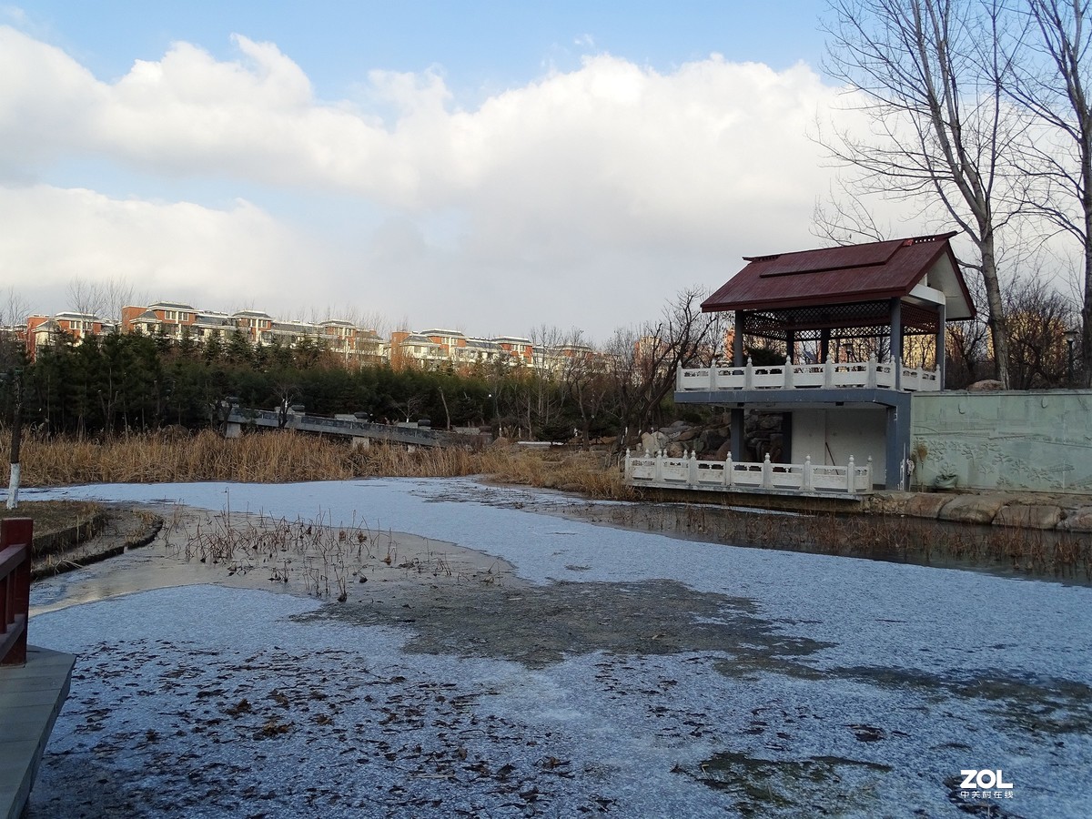 植物园——完结篇（2018.12.31——4）