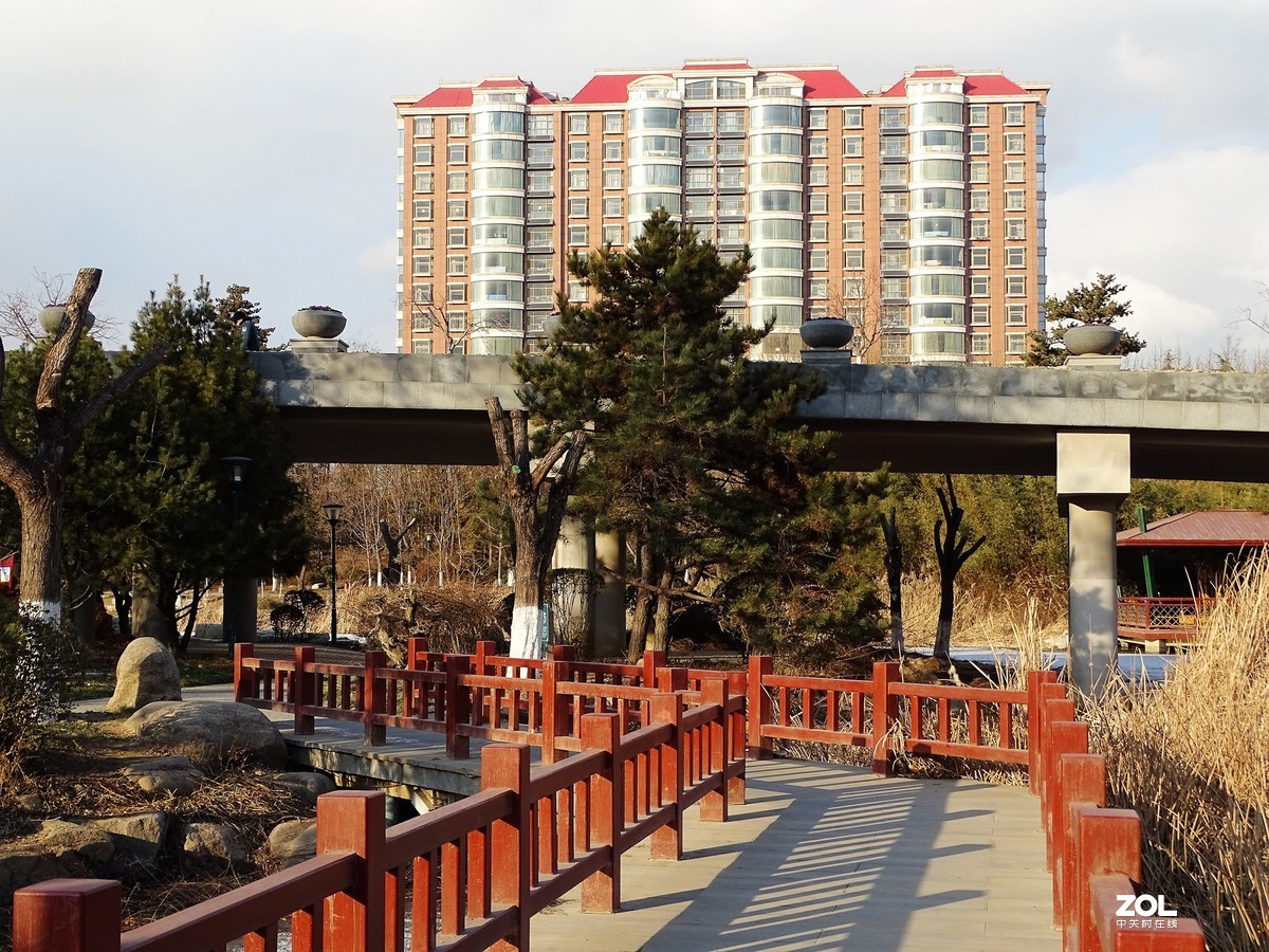 植物园——完结篇（2018.12.31——4）