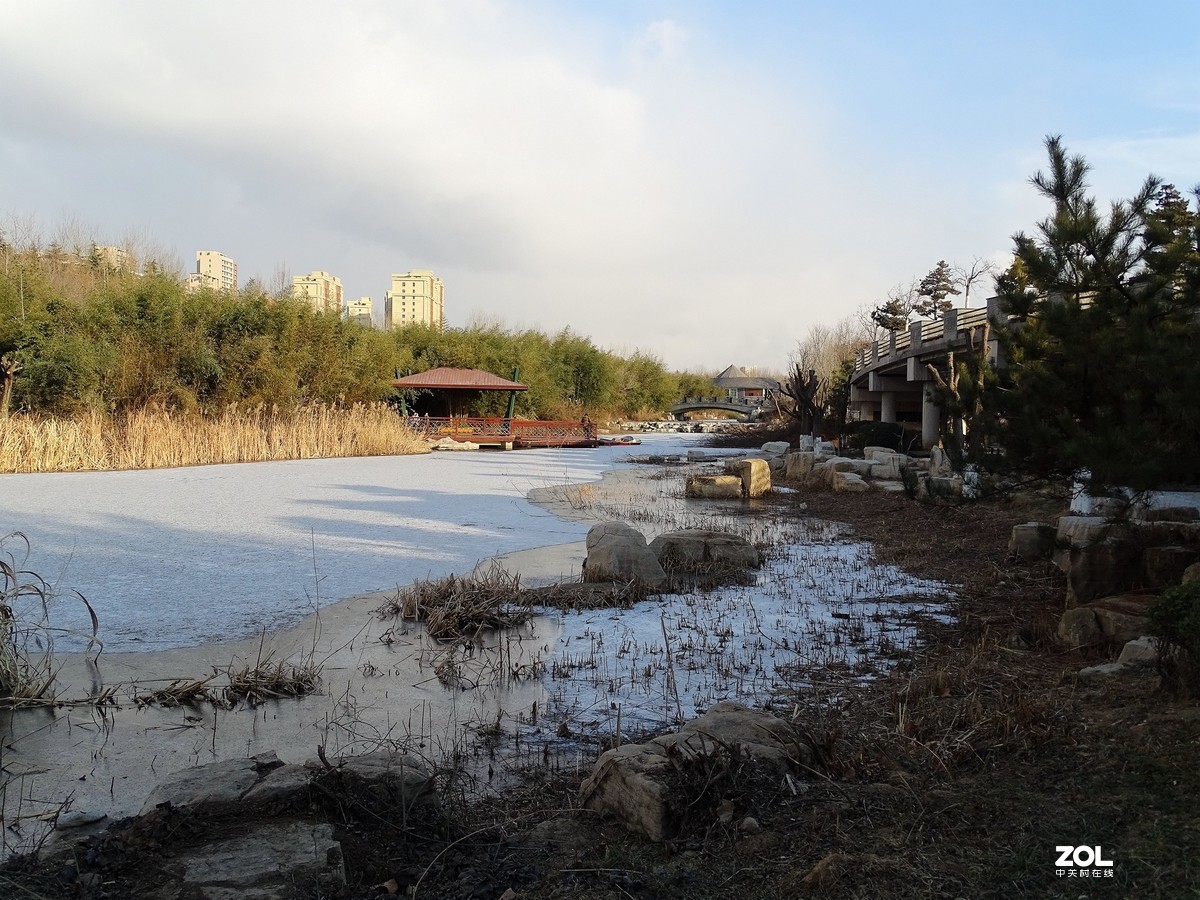 植物园——完结篇（2018.12.31——4）