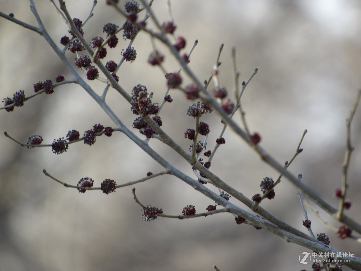 #抓住阳光来作画#春的感觉我用佳能来捕捉