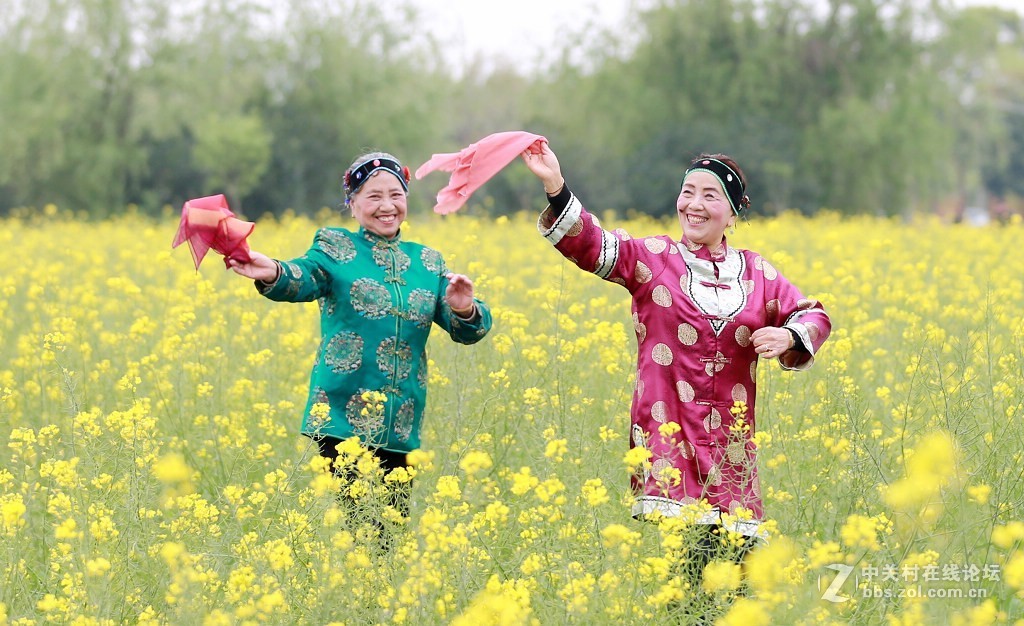 最美村光罗店油菜花田间的媒婆姐妹