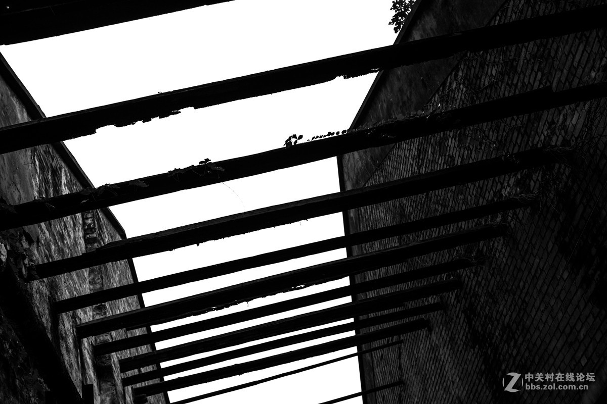 一堆烂铜、烂铁、烂房子；妹纸、杂锦煲！