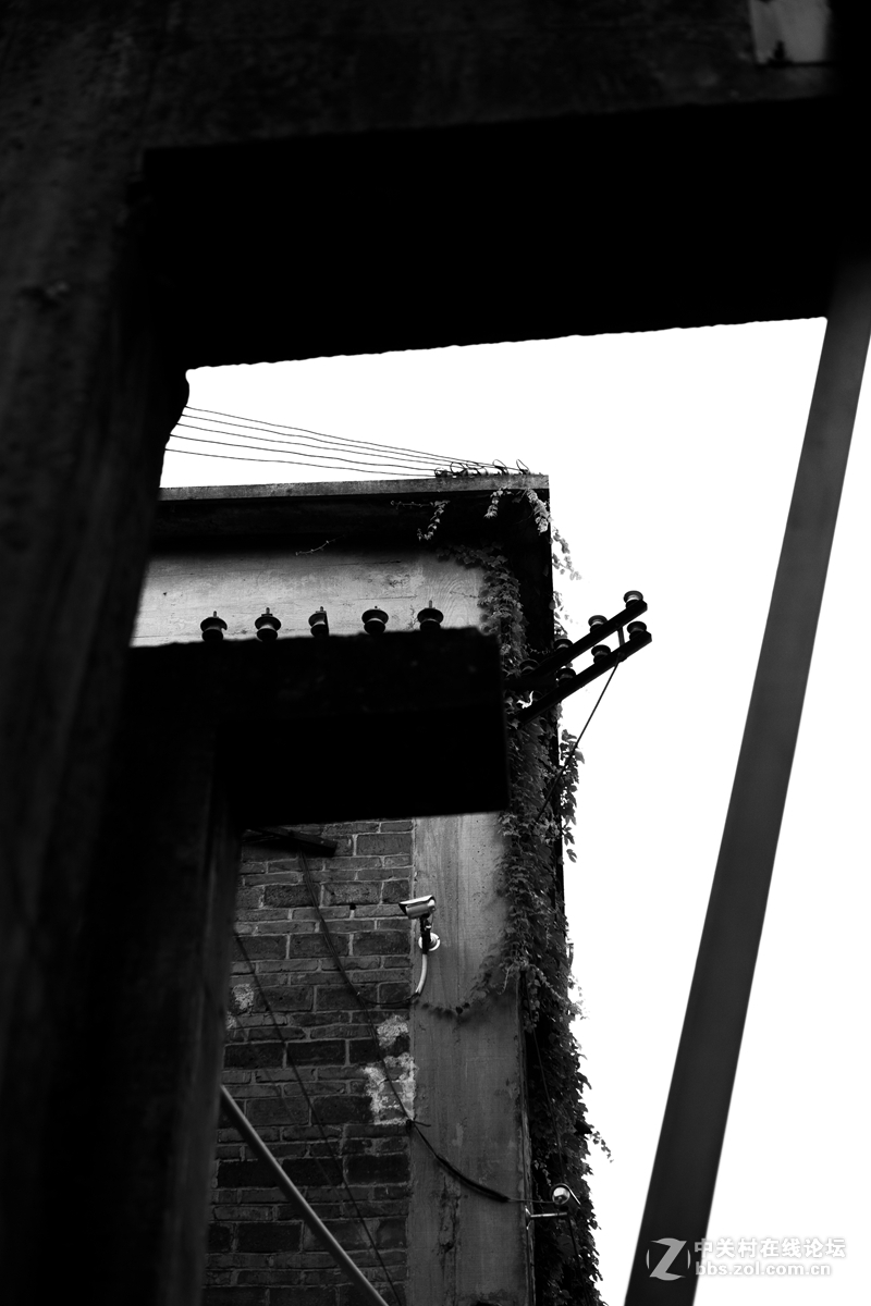 一堆烂铜、烂铁、烂房子；妹纸、杂锦煲！