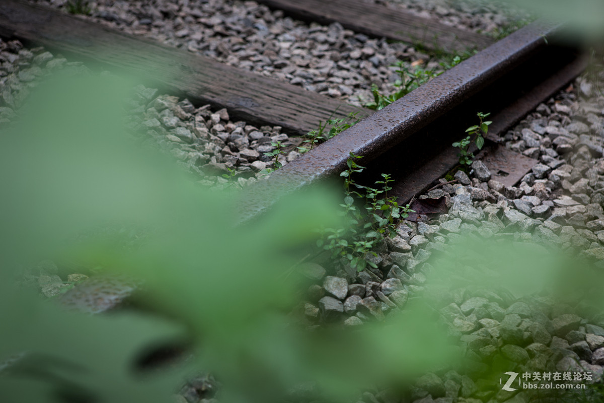一堆烂铜、烂铁、烂房子；妹纸、杂锦煲！