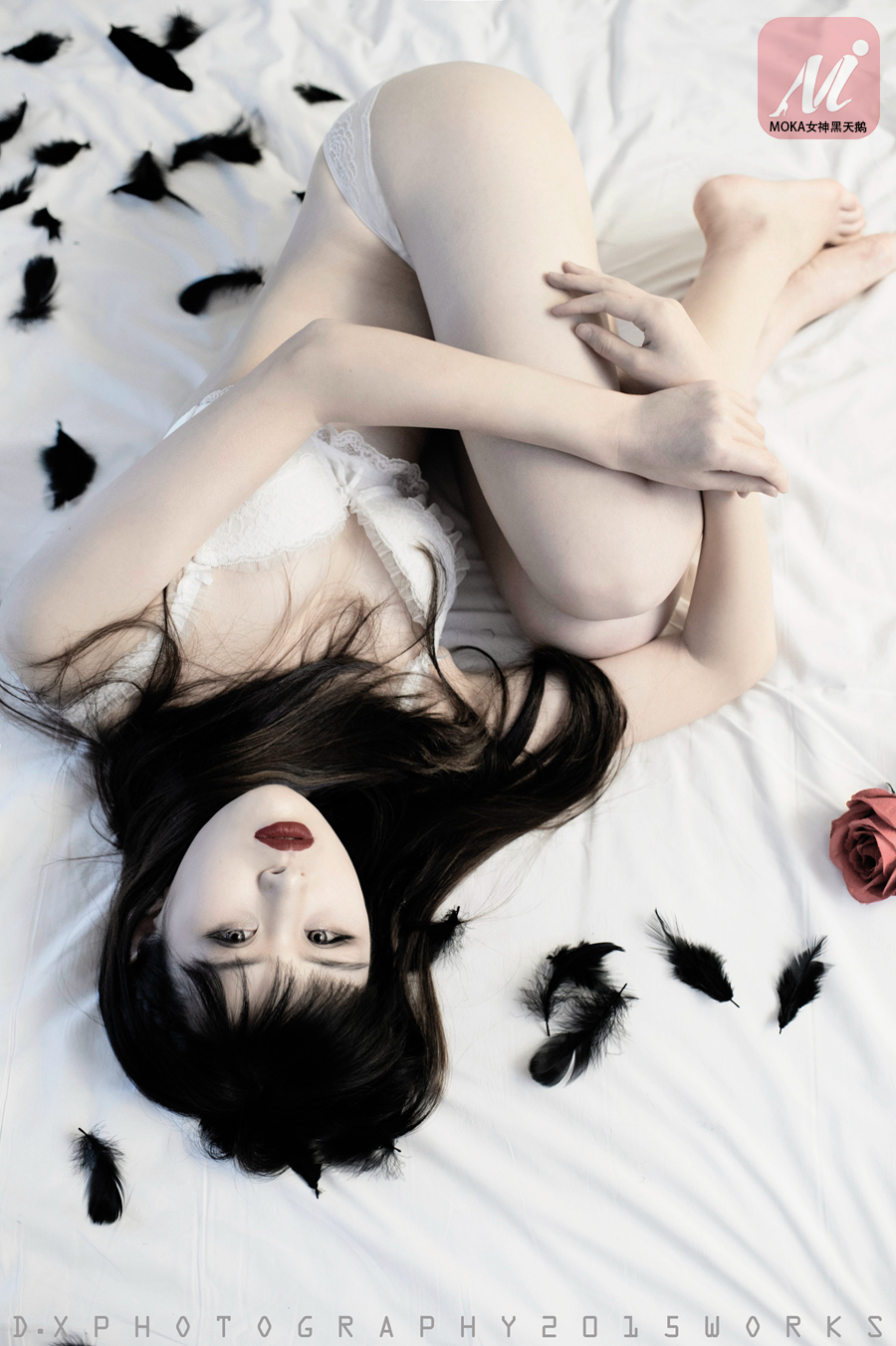 MOKA女神黑天鹅