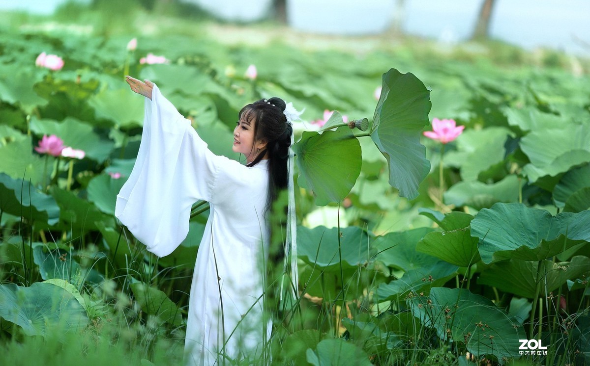 【莲动荷风】——大道无极人像摄影