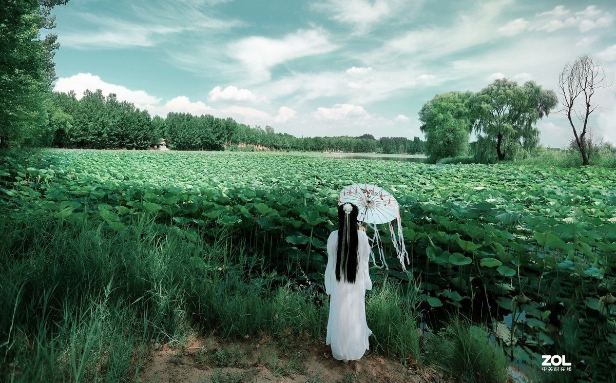 【莲动荷风】——大道无极人像摄影