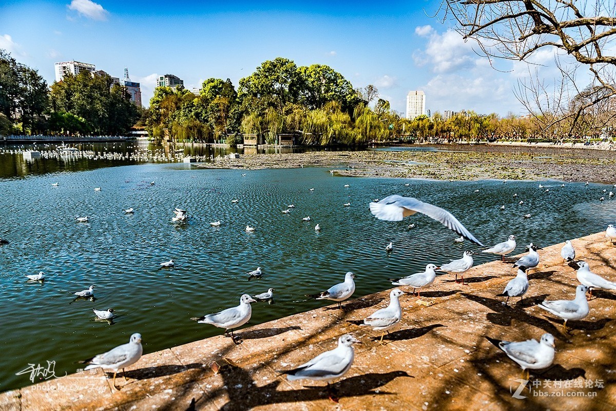 昆明翠湖公園