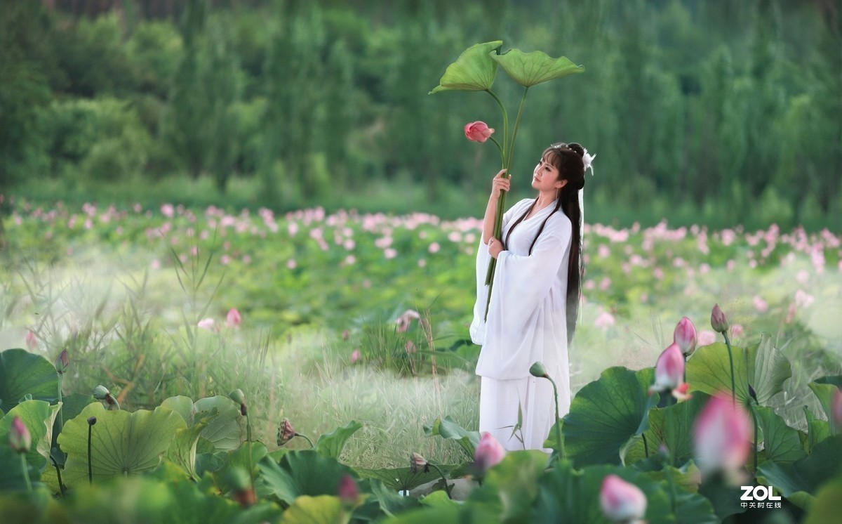 【莲动荷风】——大道无极人像摄影