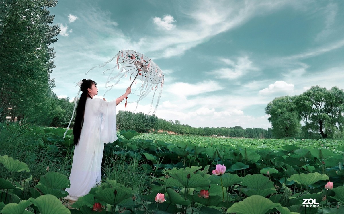 【莲动荷风】——大道无极人像摄影
