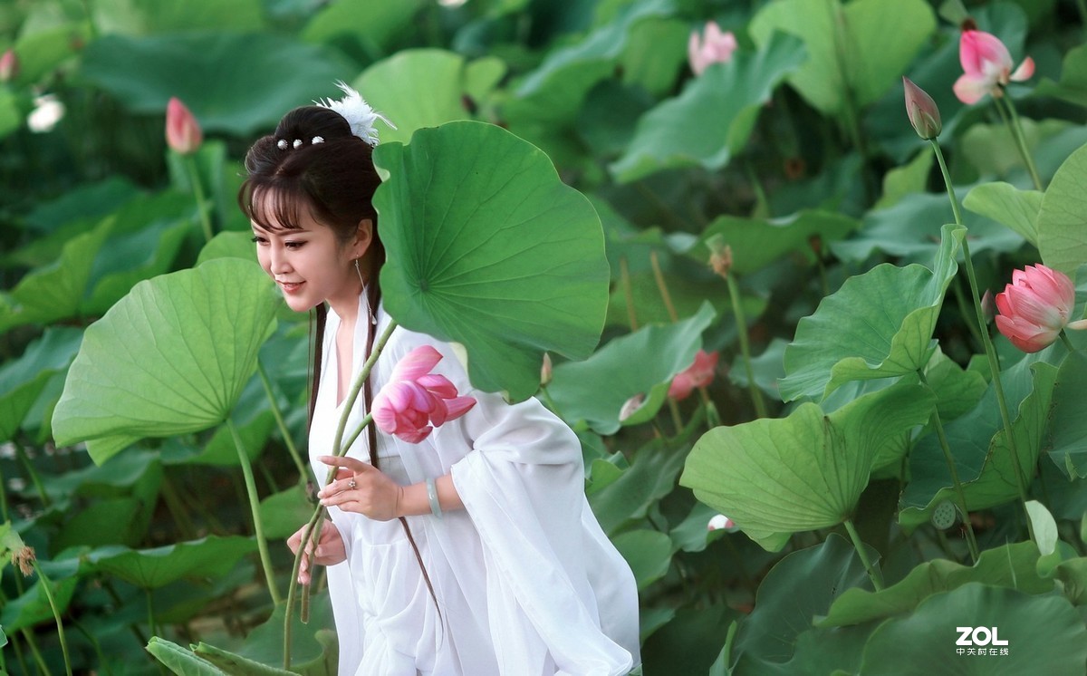 【莲动荷风】——大道无极人像摄影
