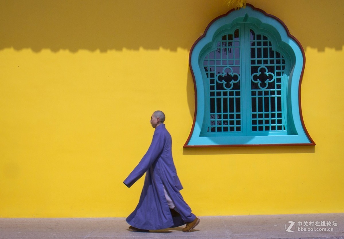 偷得半日寺中游