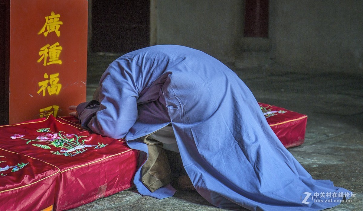 偷得半日寺中游