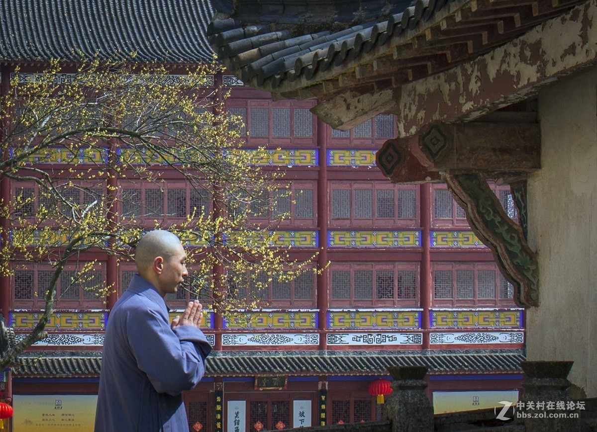 偷得半日寺中游