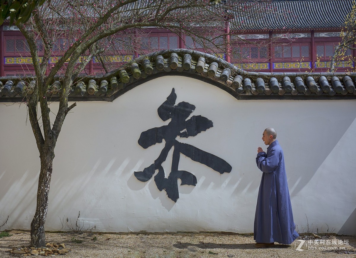 偷得半日寺中游