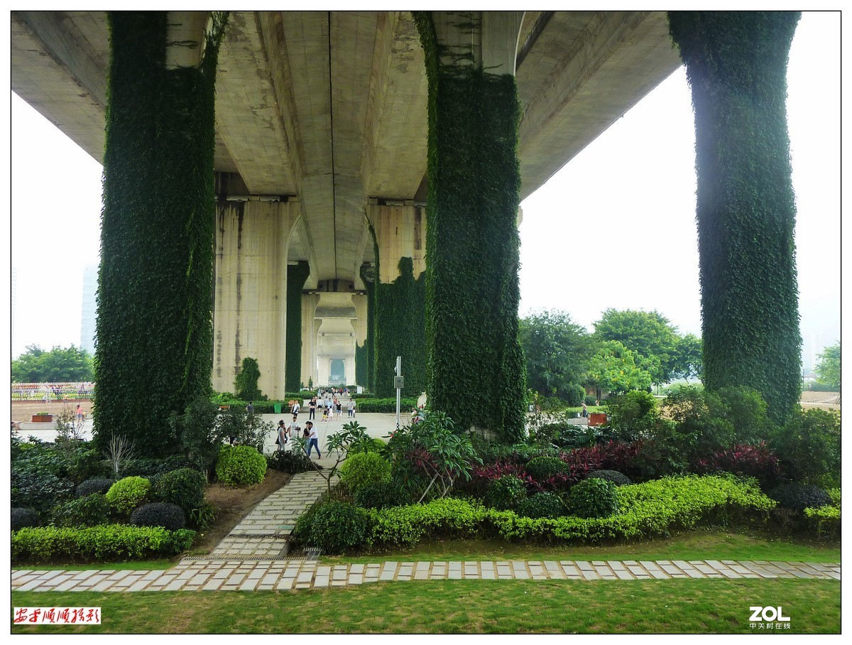 福建福州江滨路随拍上