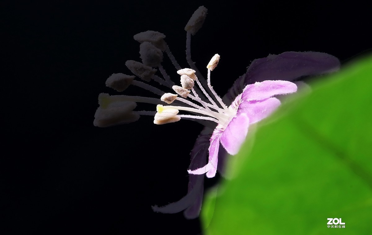 #版主坐堂#2020年2月份精华作品集锦（代深版整理）