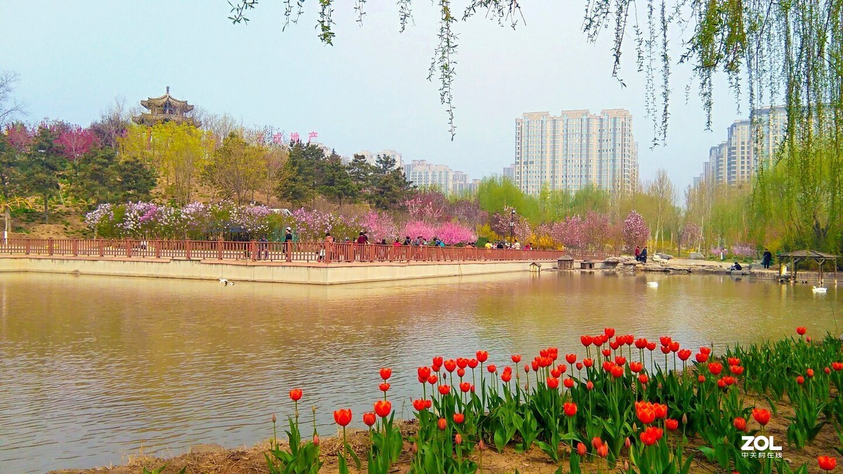 花香满狮城