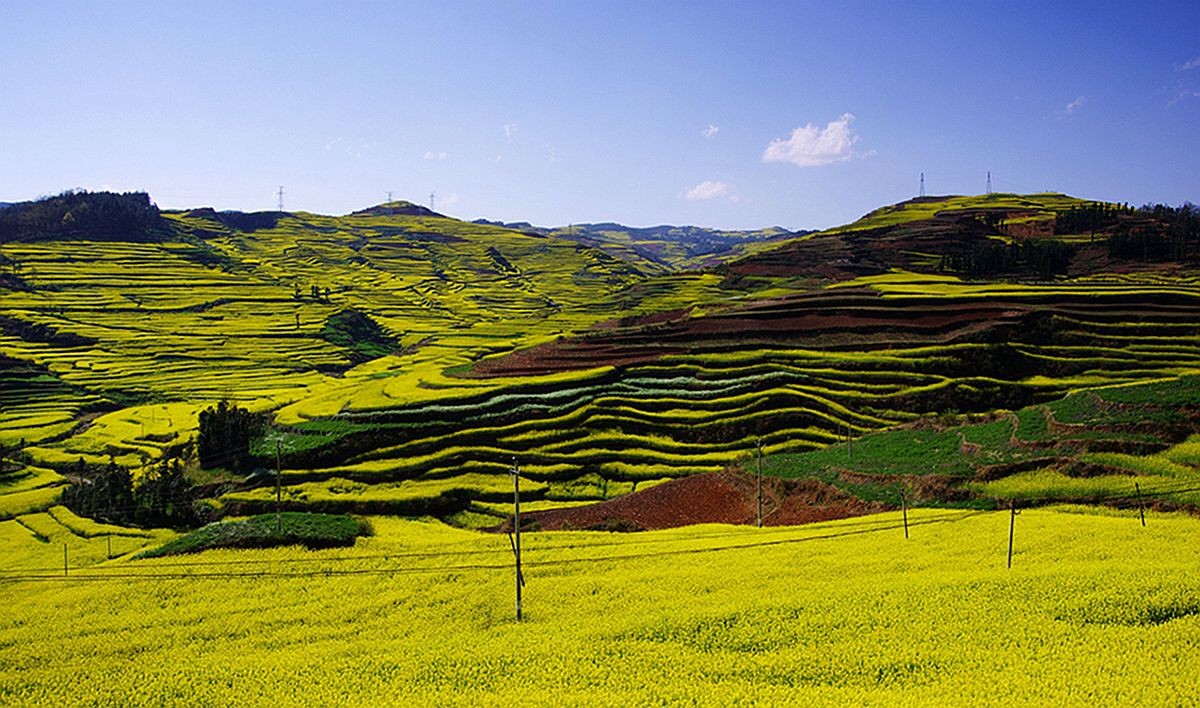 大山风情（二）