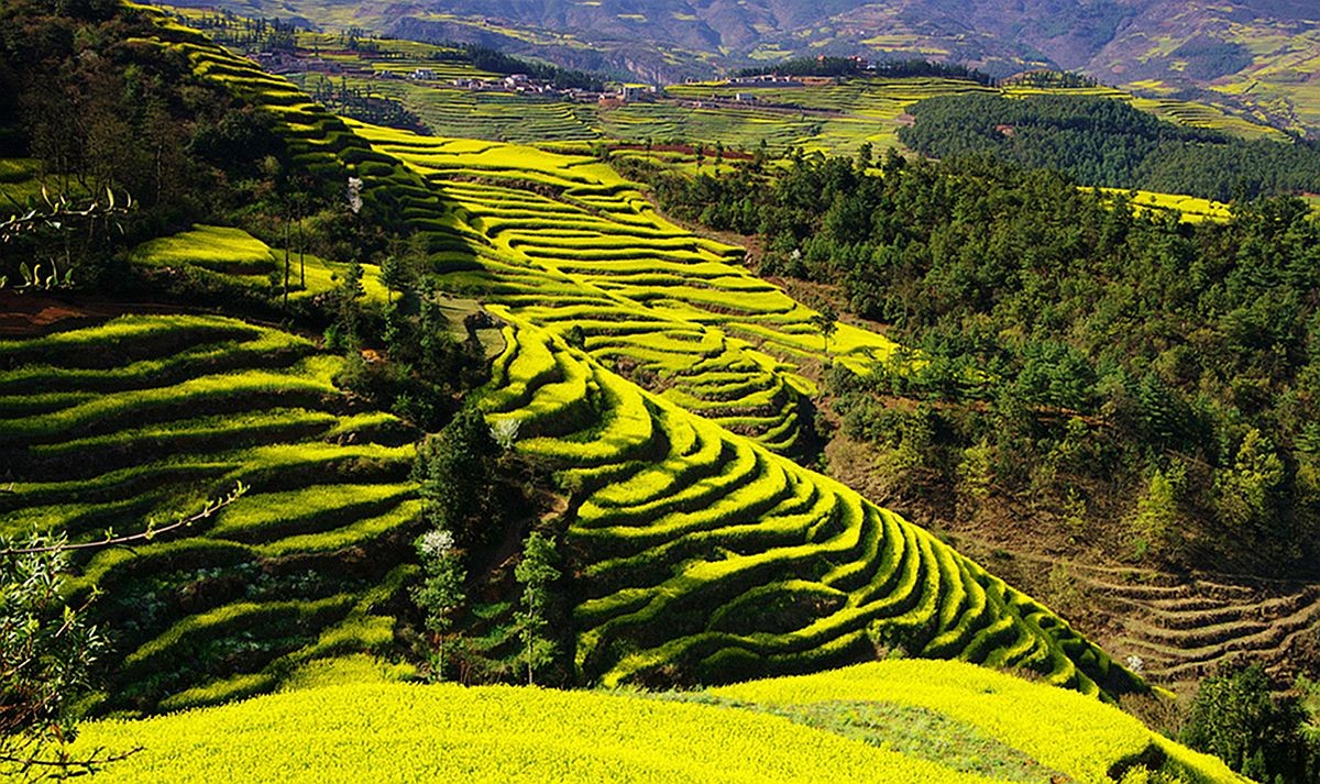 大山风情（二）