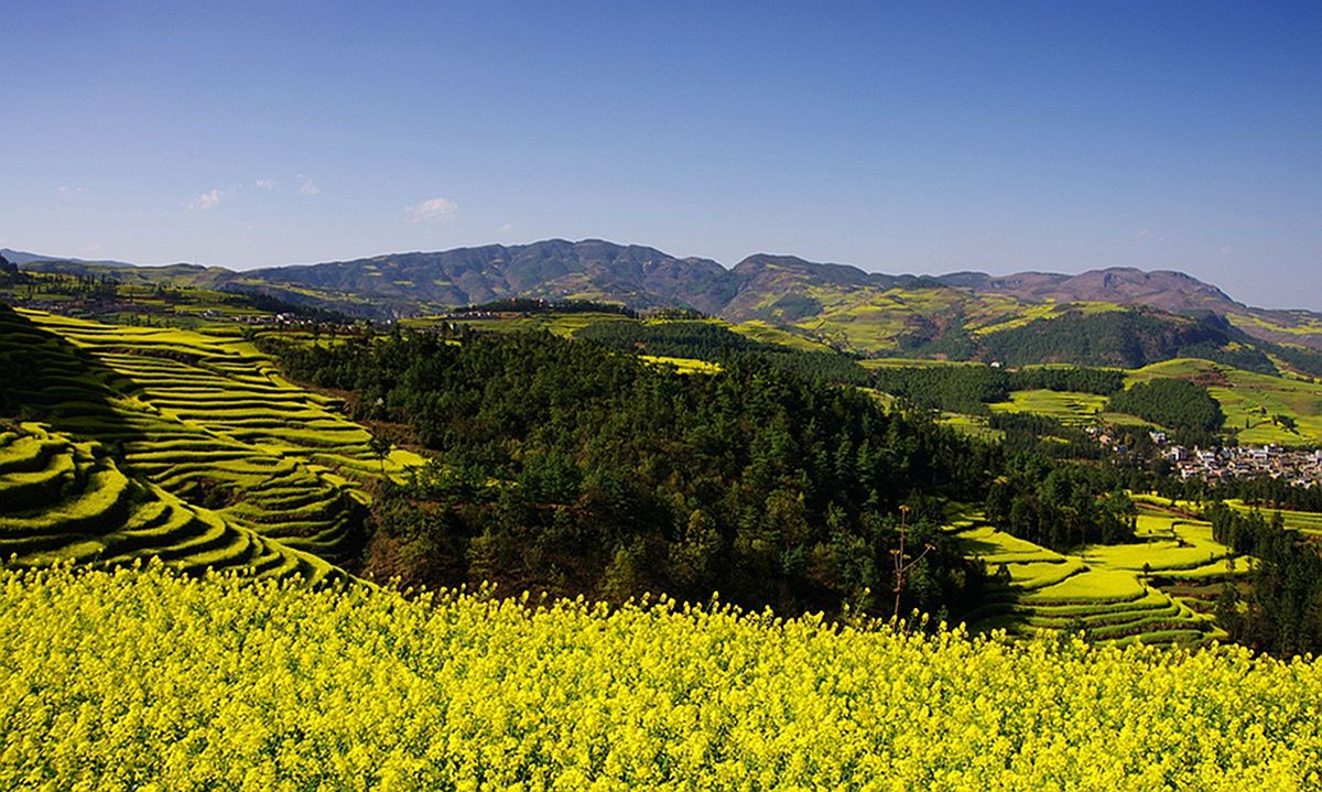 大山风情（二）