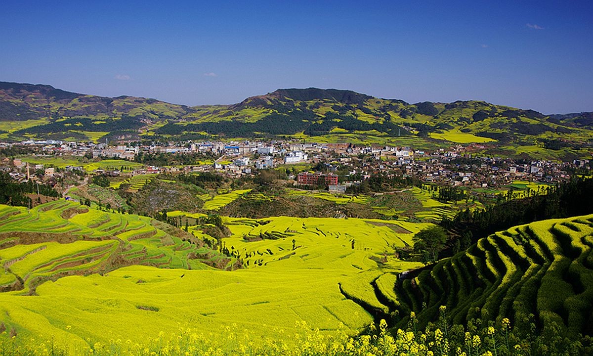 大山风情（二）