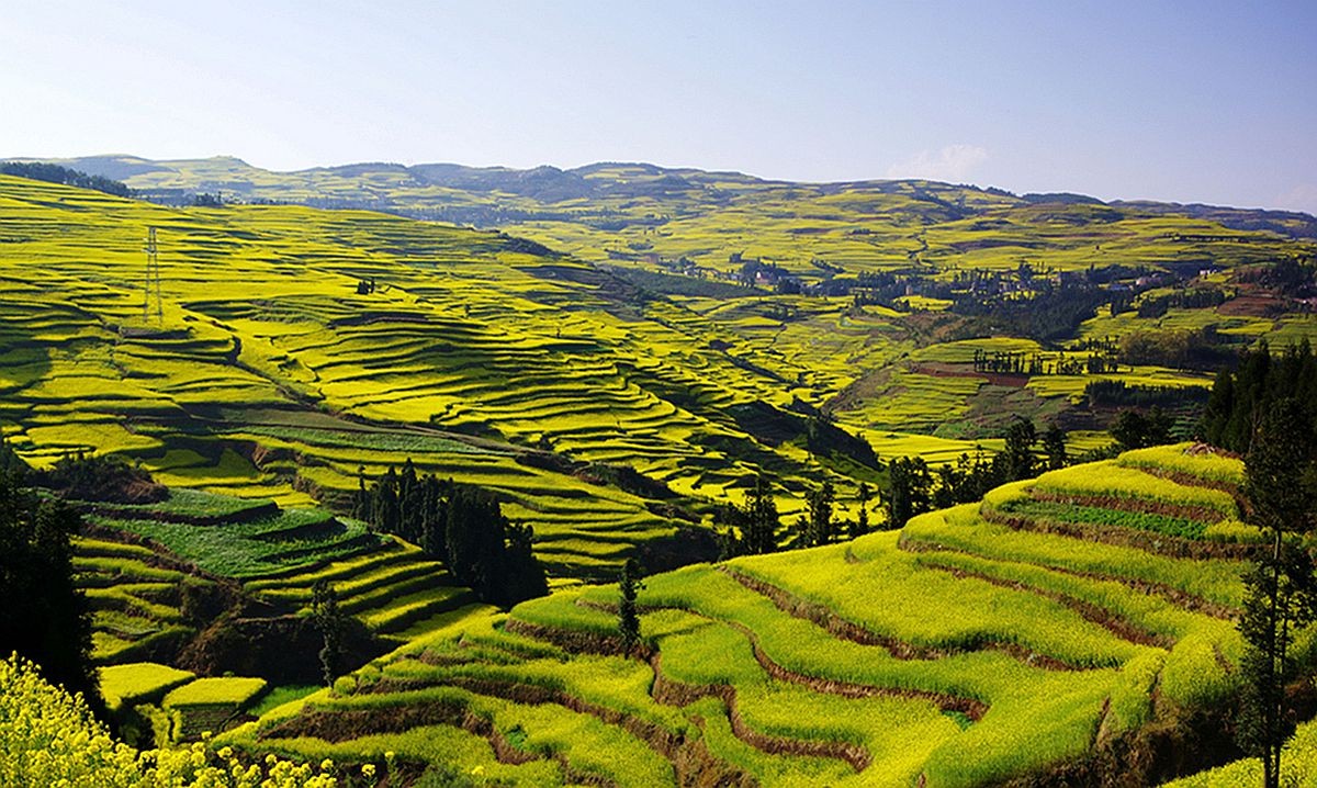 大山风情（二）