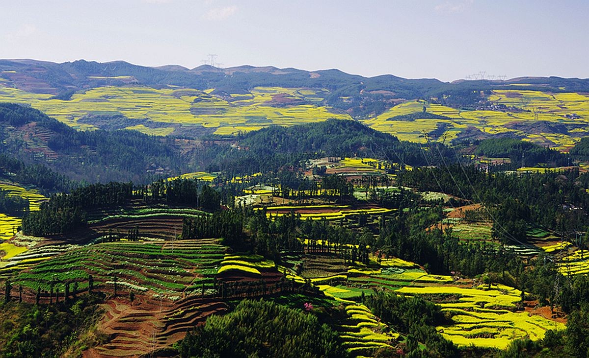 大山风情（二）