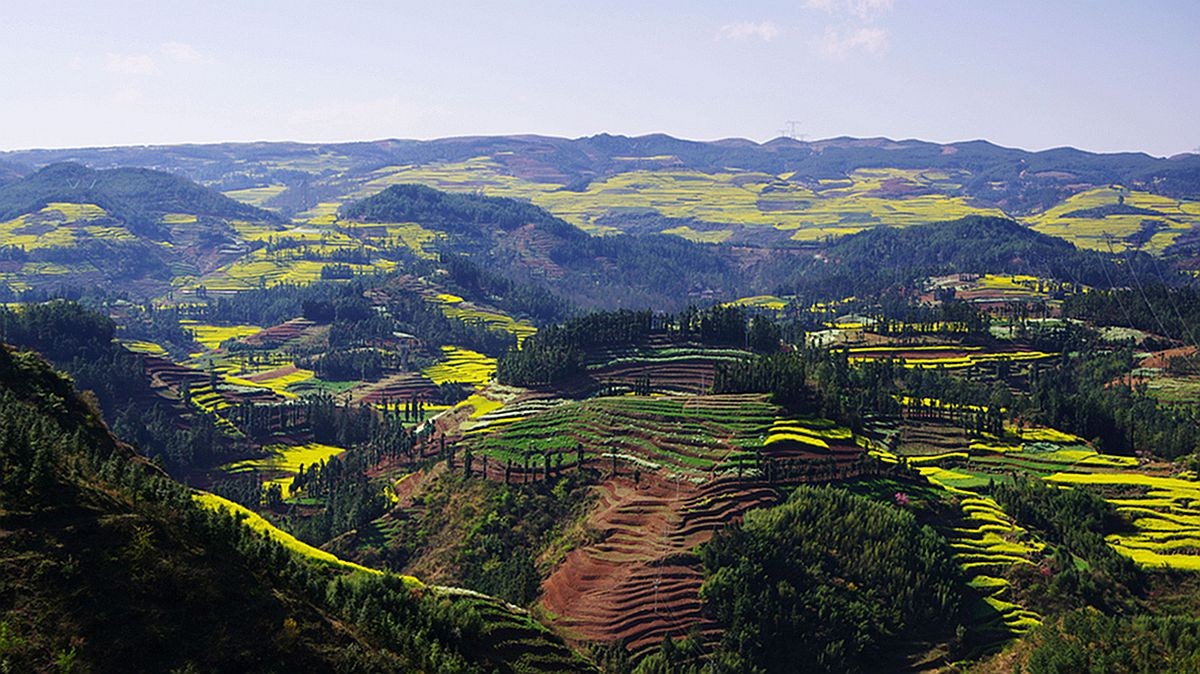 大山风情（二）