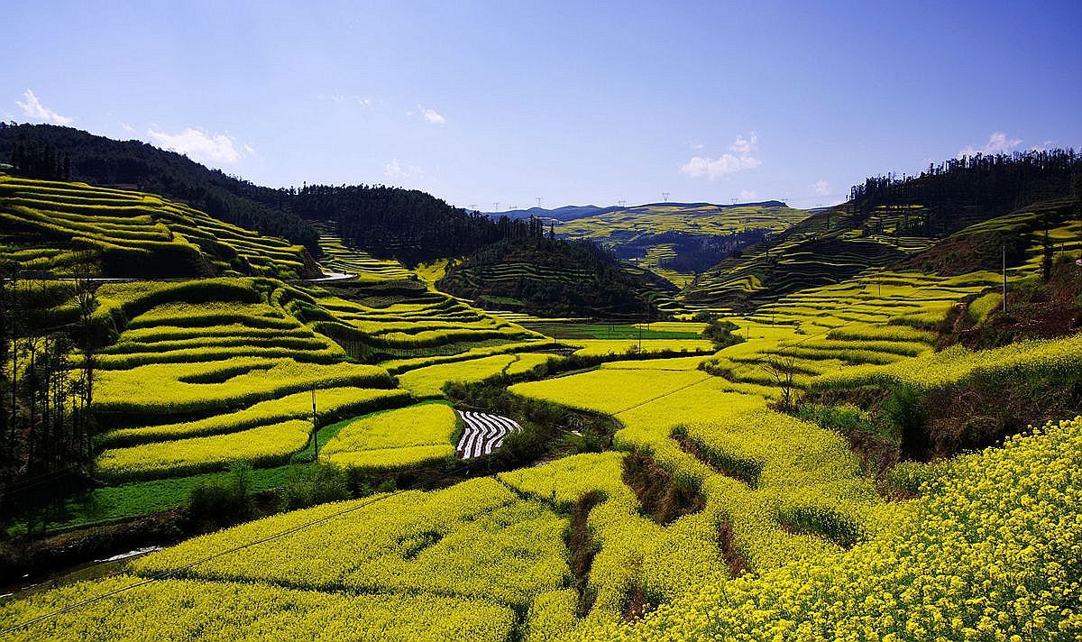 大山风情（二）