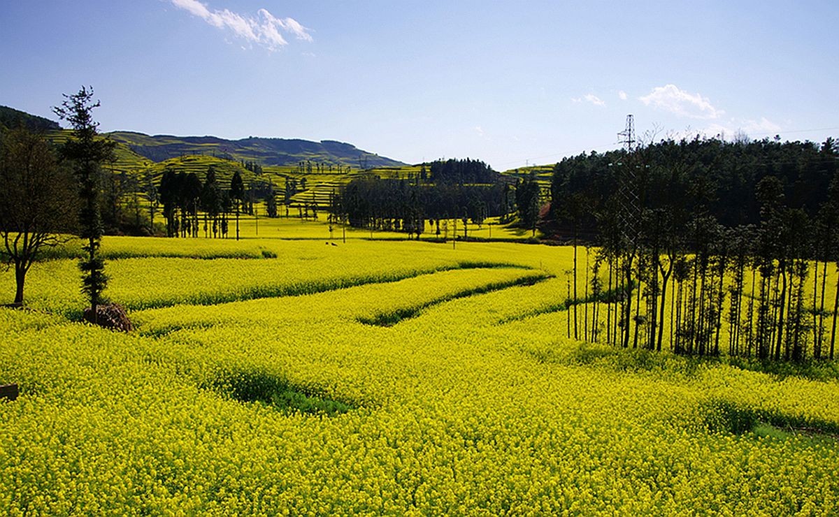 大山风情（二）