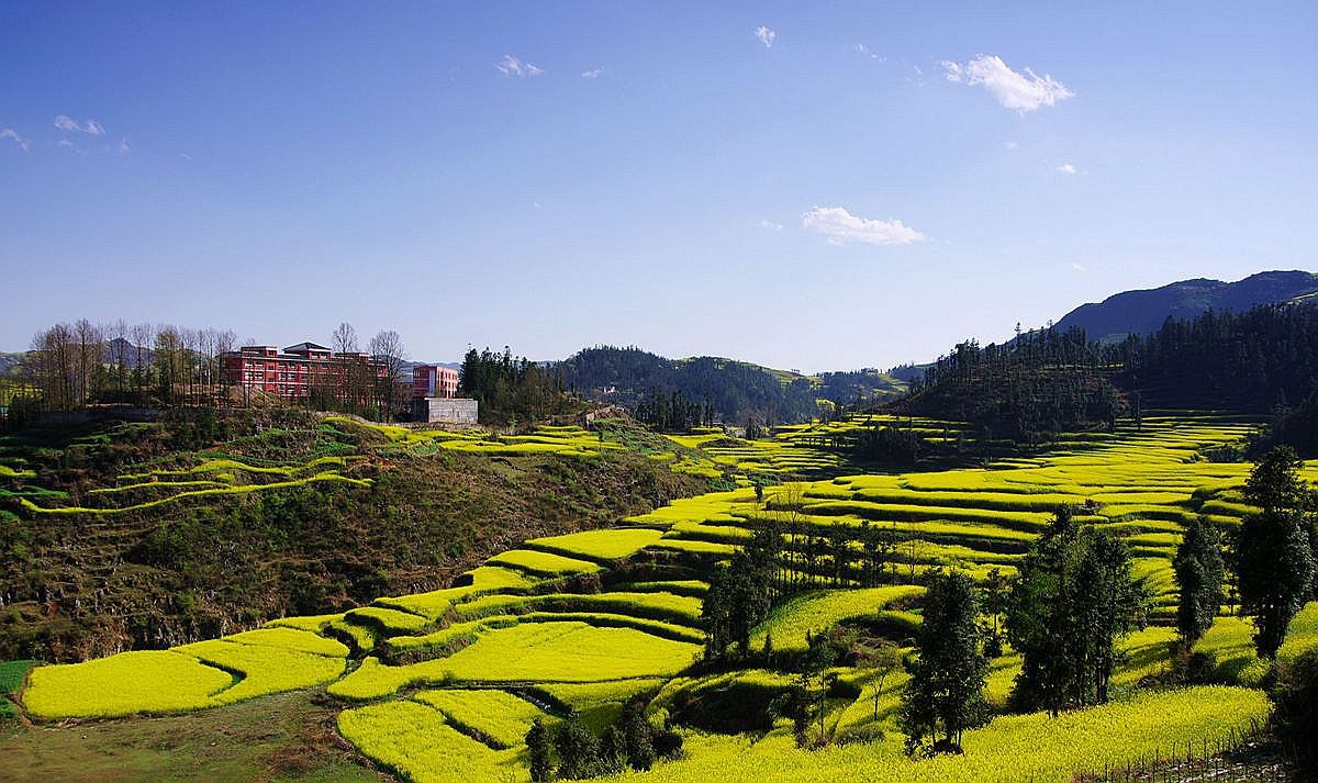 大山风情（二）