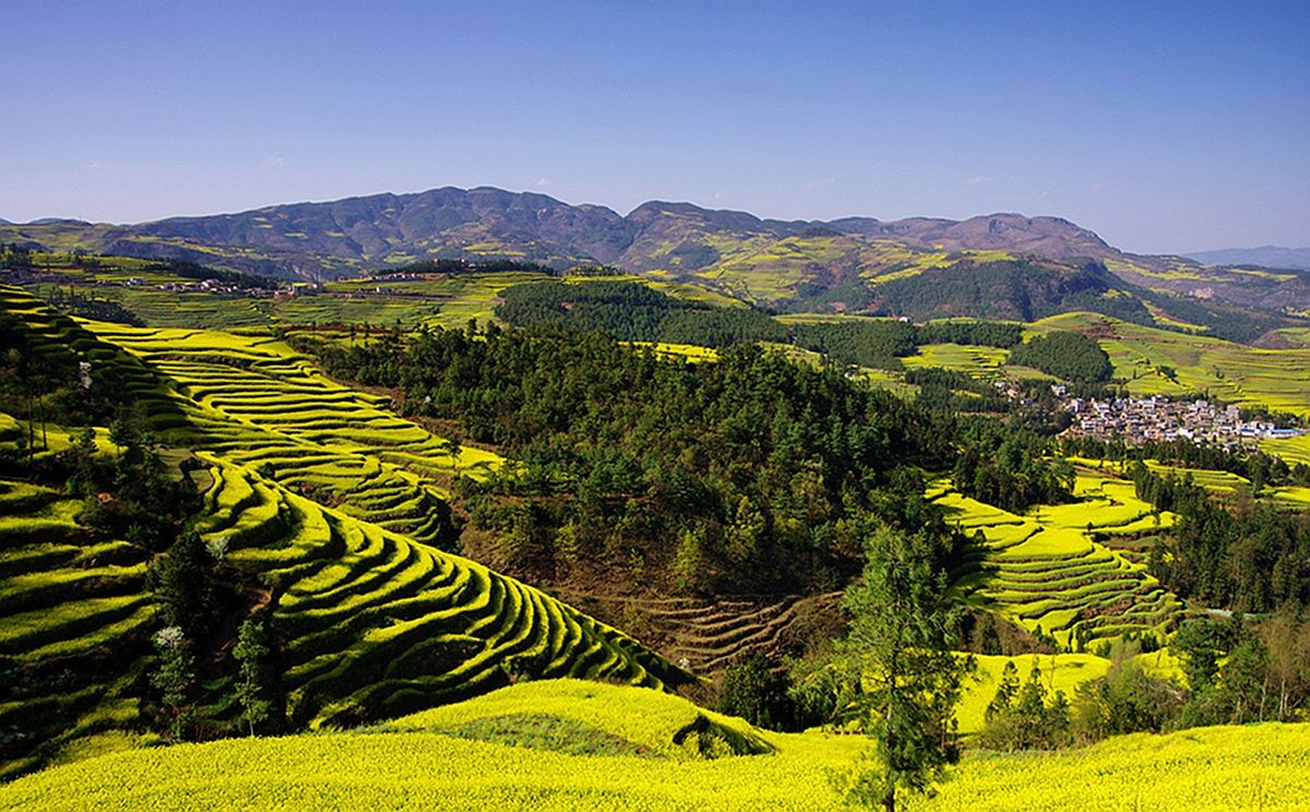 大山风情（二）