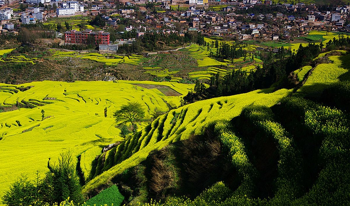 大山风情（二）