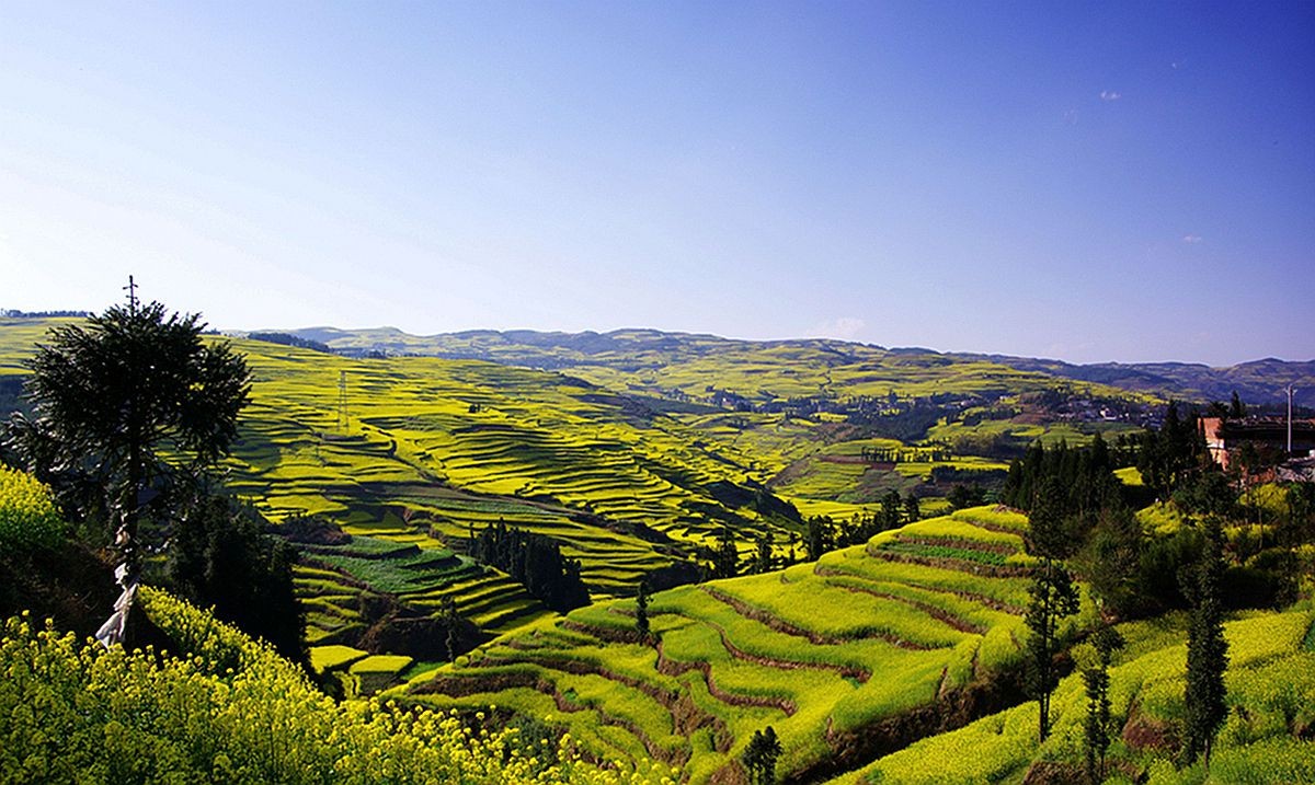 大山风情（二）