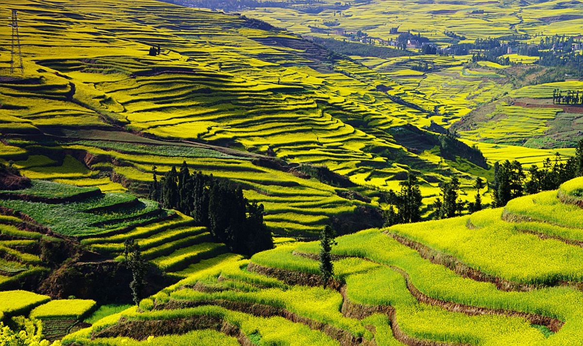 大山风情（二）