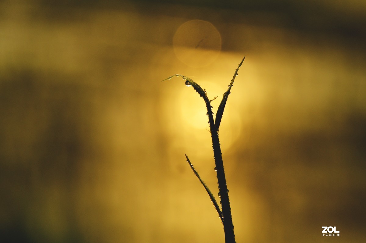 一滴水也能折射出阳光的爱