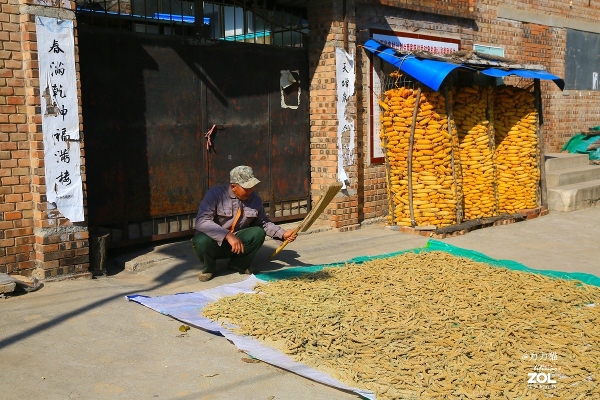 山西秋树垣：远方与乡愁