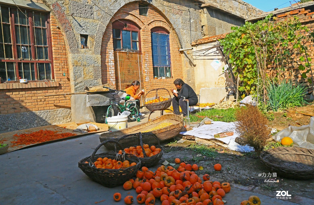 山西秋树垣：远方与乡愁