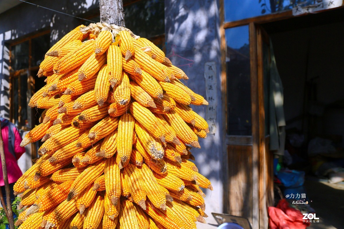 山西秋树垣：远方与乡愁