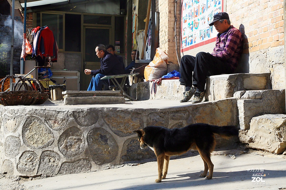 山西秋树垣：远方与乡愁