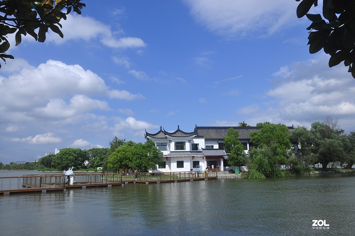 汀棠之夏摄于芜湖汀棠公园