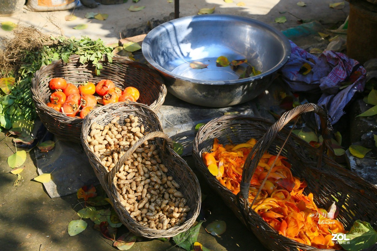 山西秋树垣：远方与乡愁