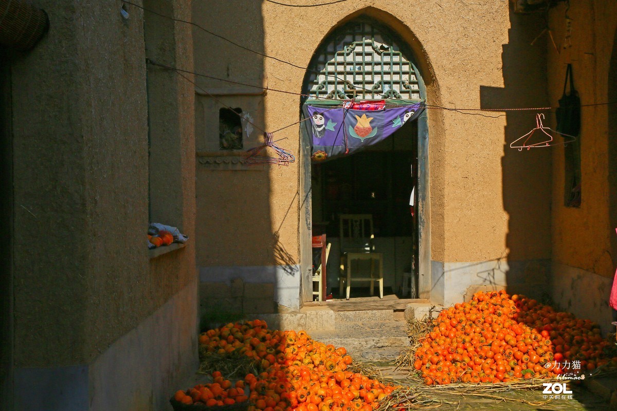 山西秋树垣：远方与乡愁