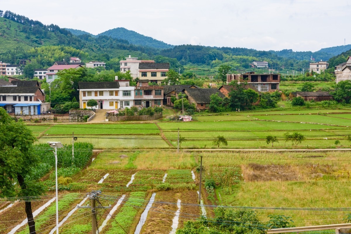 尼康D3400+适马17-50锐度测试-乱拍的，不讲构图