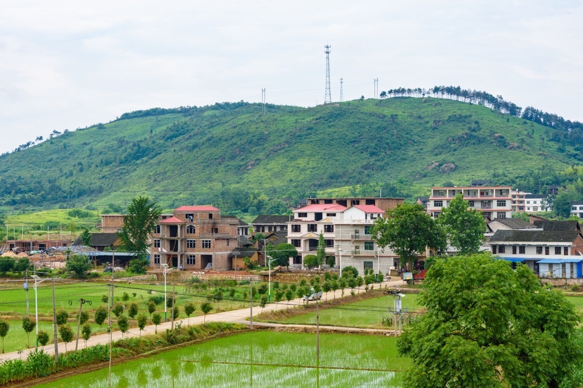 尼康D3400+适马17-50锐度测试-乱拍的，不讲构图