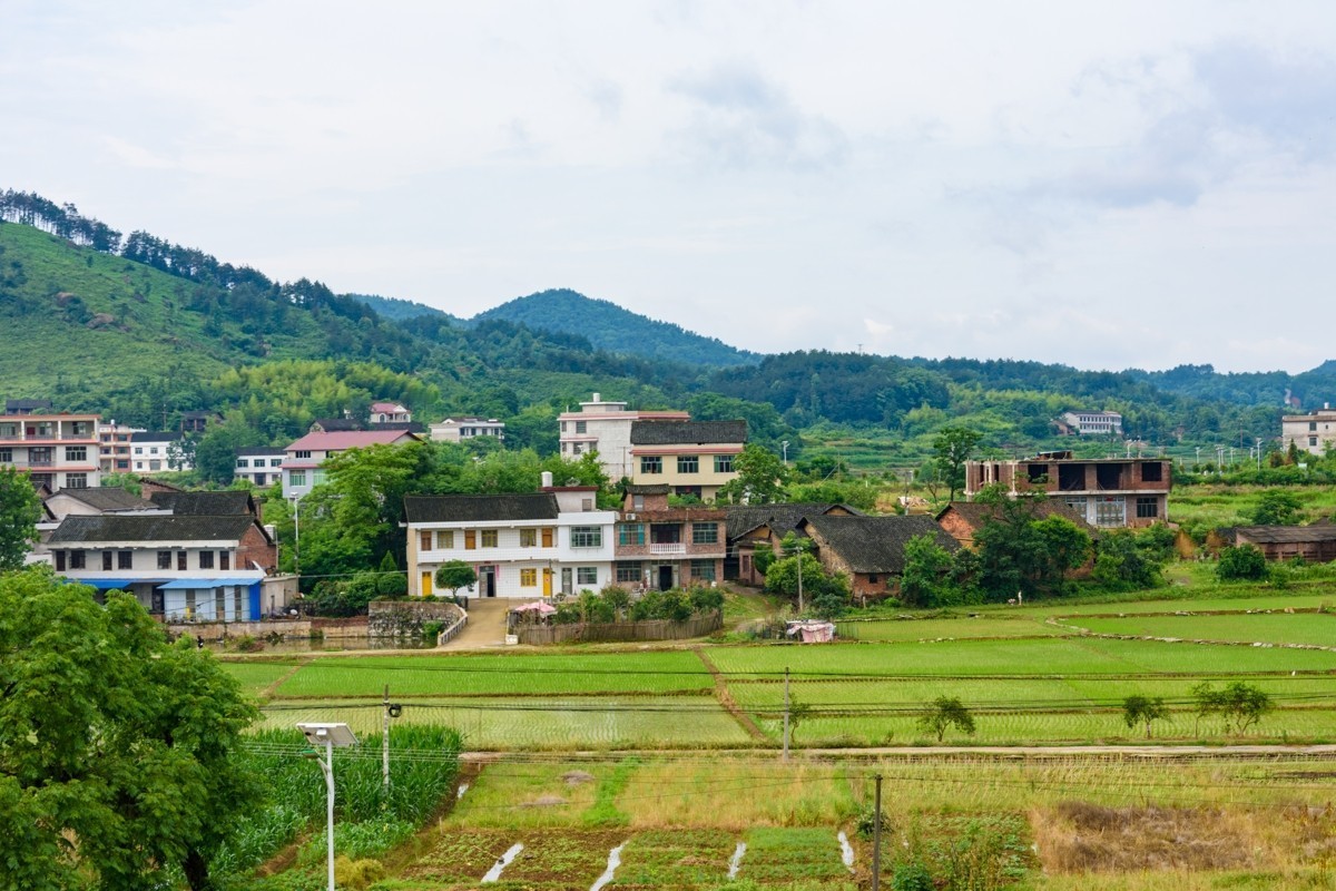 尼康D3400+适马17-50锐度测试-乱拍的，不讲构图