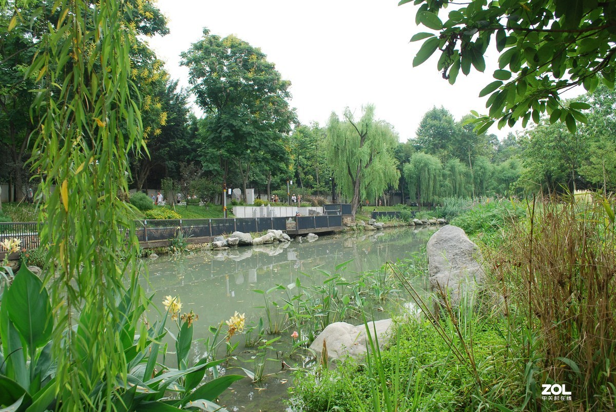 2019818成都浣花溪公園